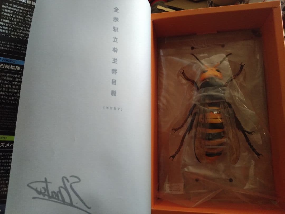 KAIYODO REVOGEO 全地球立体生物図鑑 オオスズメバチ