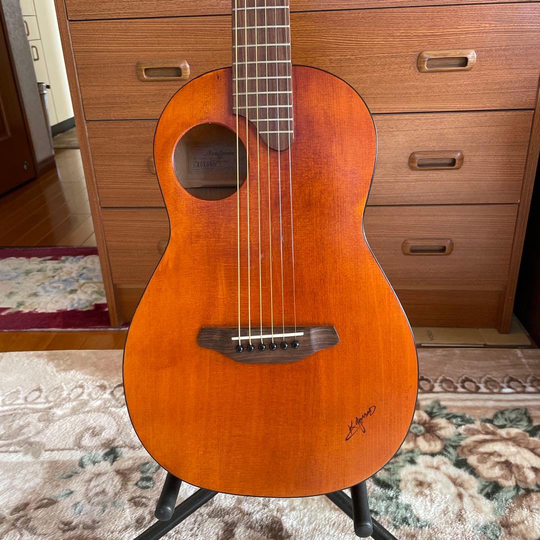 ❗️希少❗️Kヤイリノツクタウ　アカシアAN