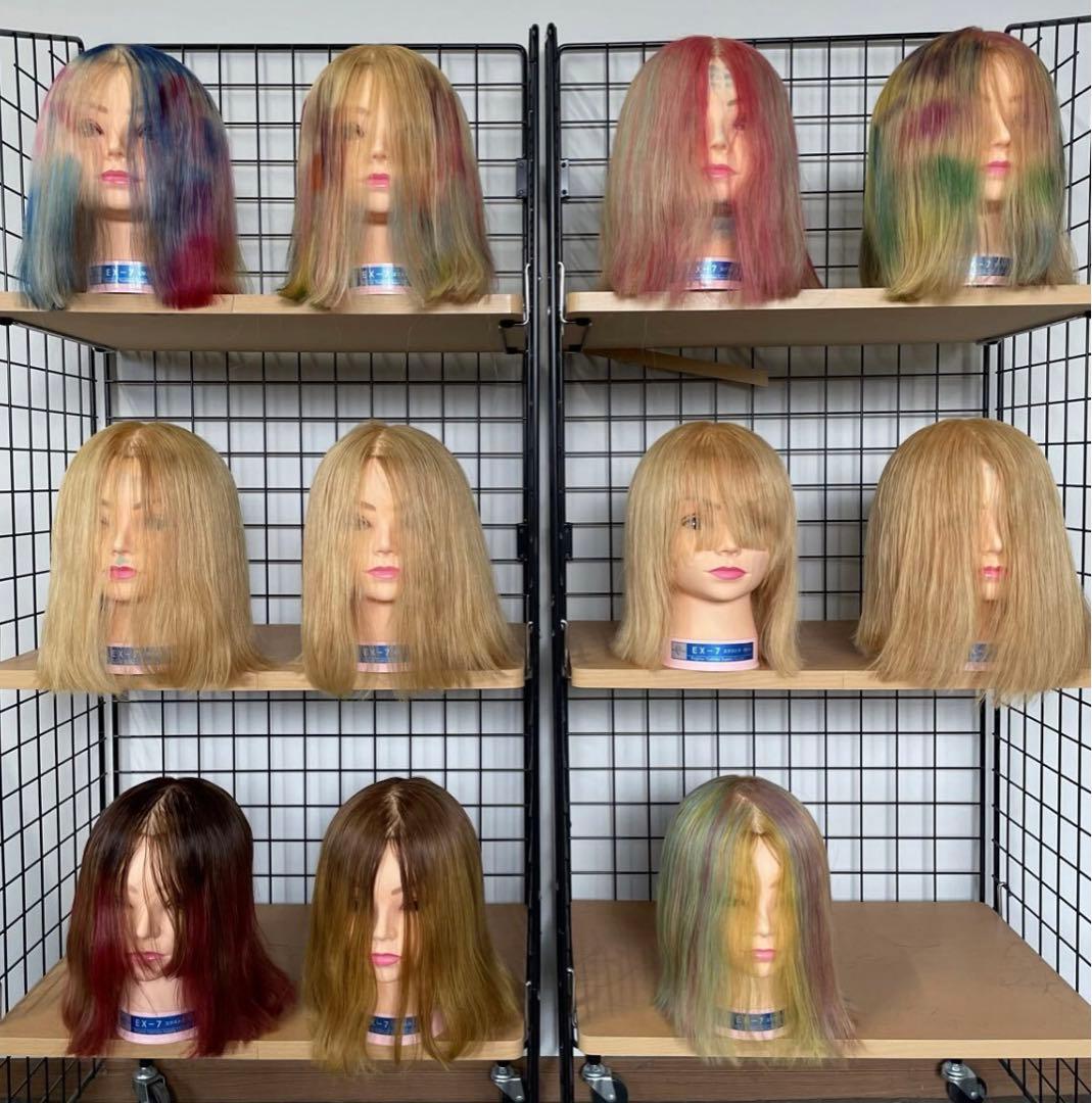 美容師 カットウィッグ レジーナ 11台まとめ売り - メルカリ