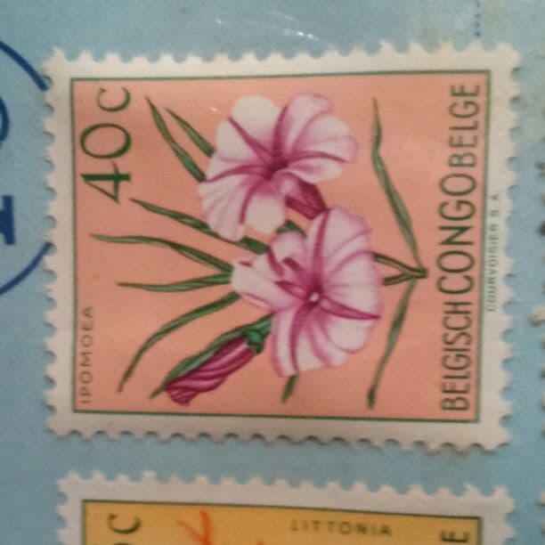 切手24 グリーティング（ライフ・花） | 日本郵便株式会社