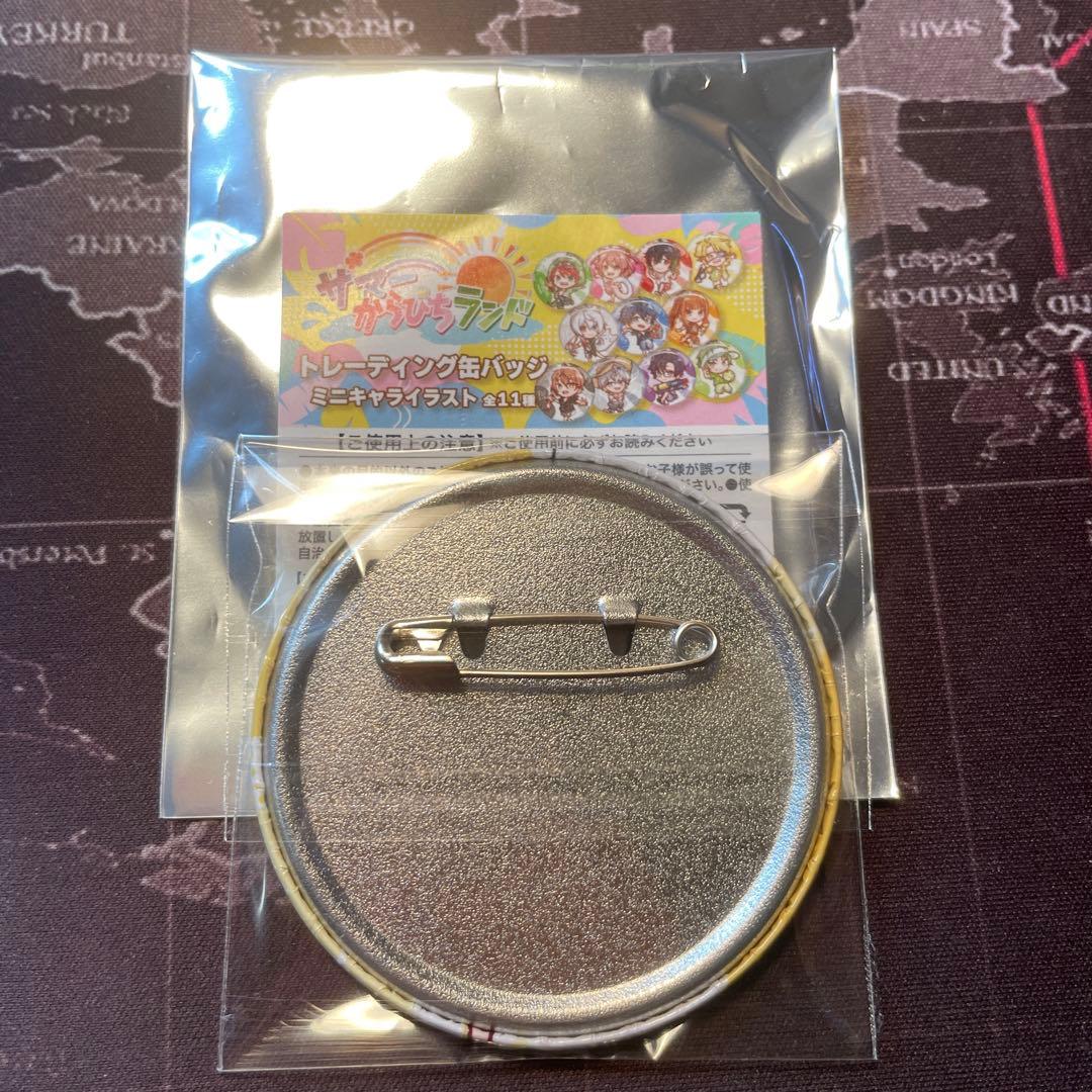 たっつん カラフルピーチ サマーランド ミニキャラ 缶バッジ からぴち