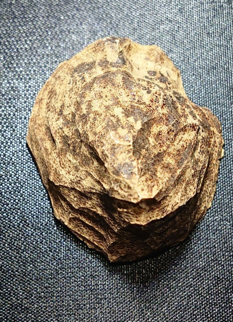 ベトナムフエ産 伽羅 沈水