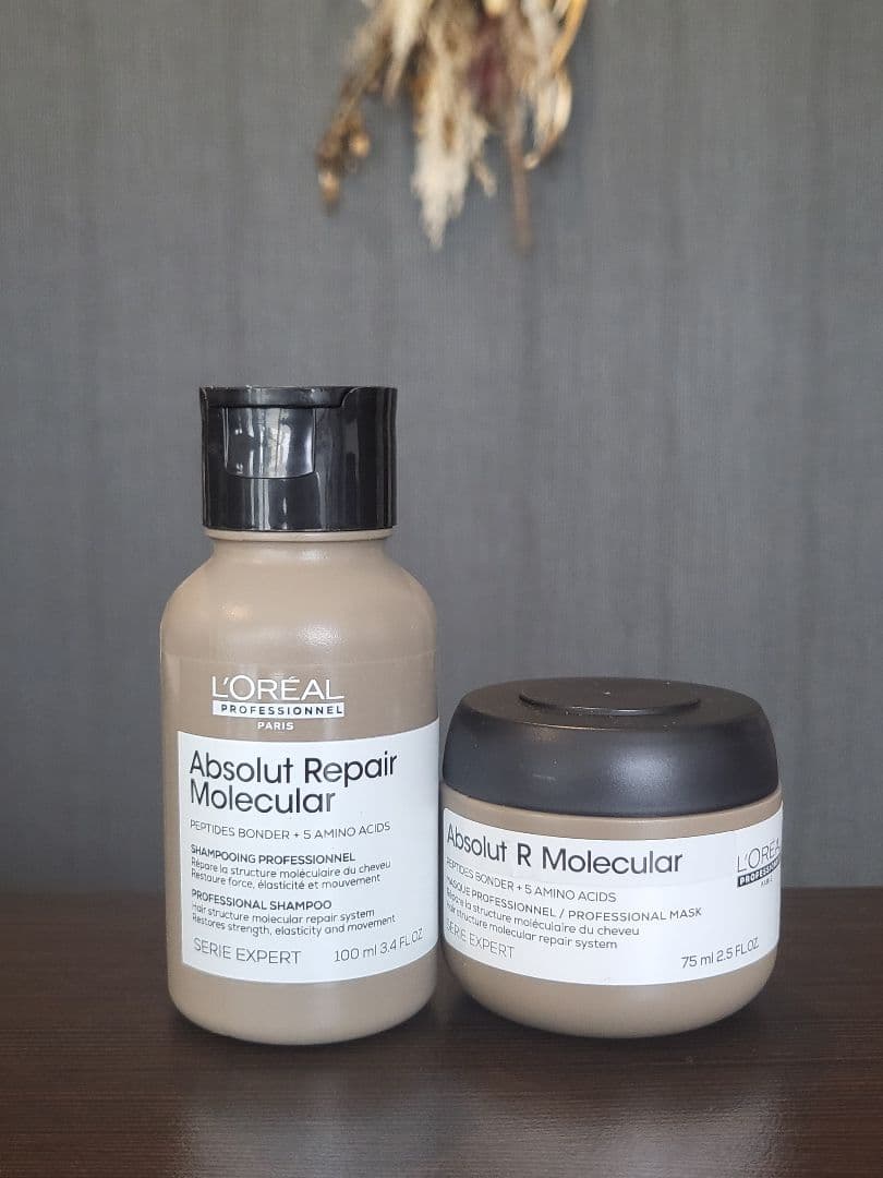 アブソルート R モレキュラー シャンプー＆マスクセット 正規販売店・即日発送】アブソルート R モレキュラー