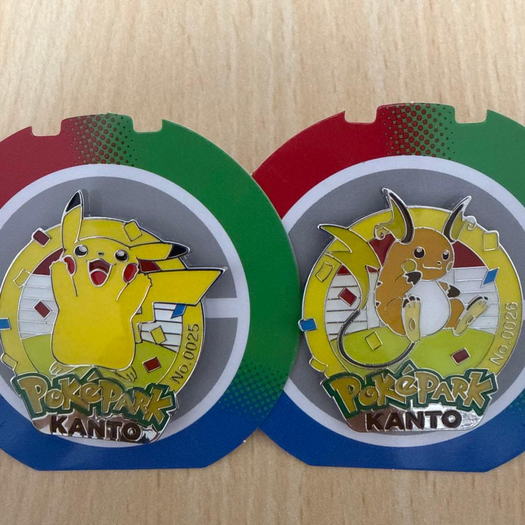 ポケパークカントー ピンバッジ ピンズ ピカチュウ ライチュウ 2個セット