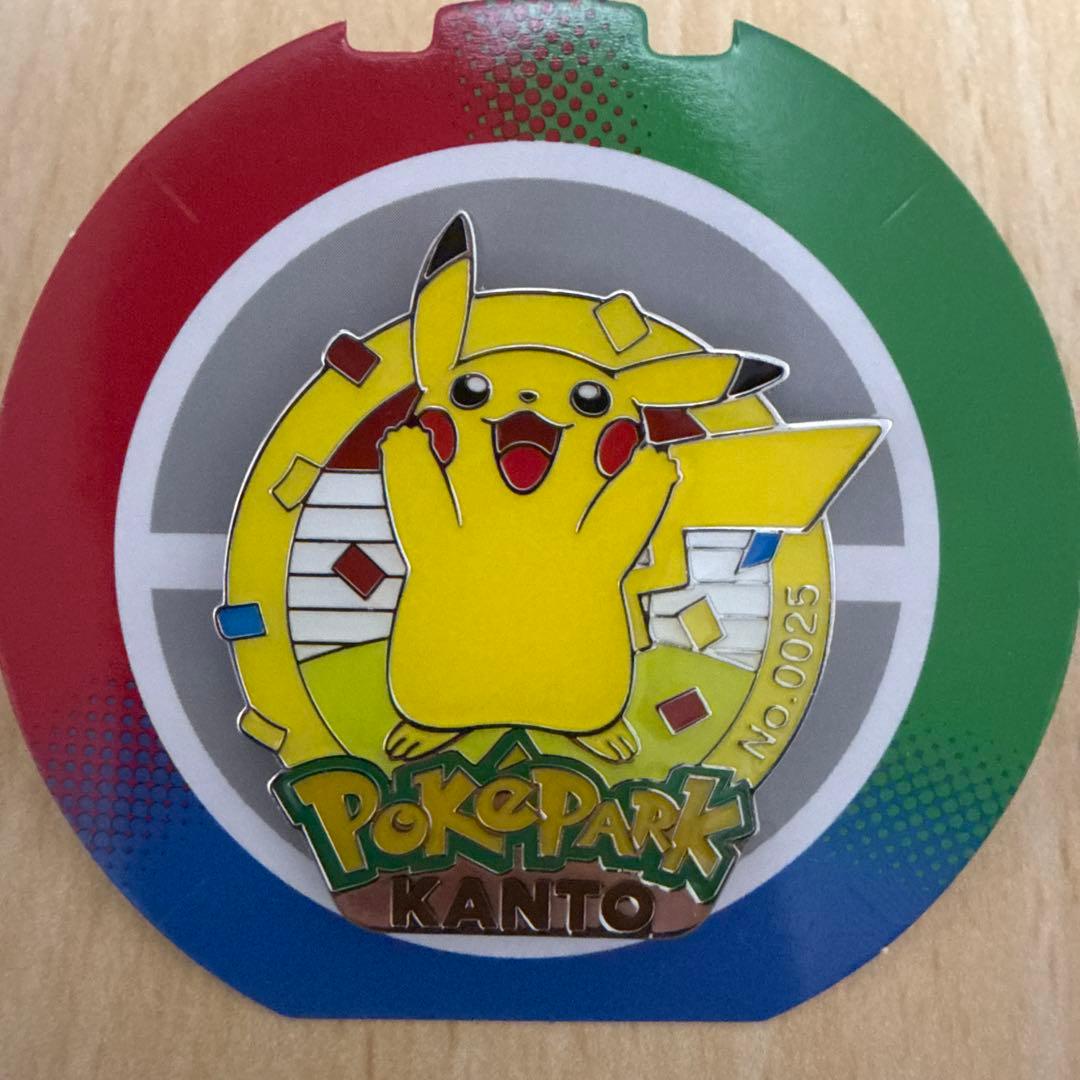 ポケパークカントー ピンバッジ ピンズ ピカチュウ ライチュウ 2個