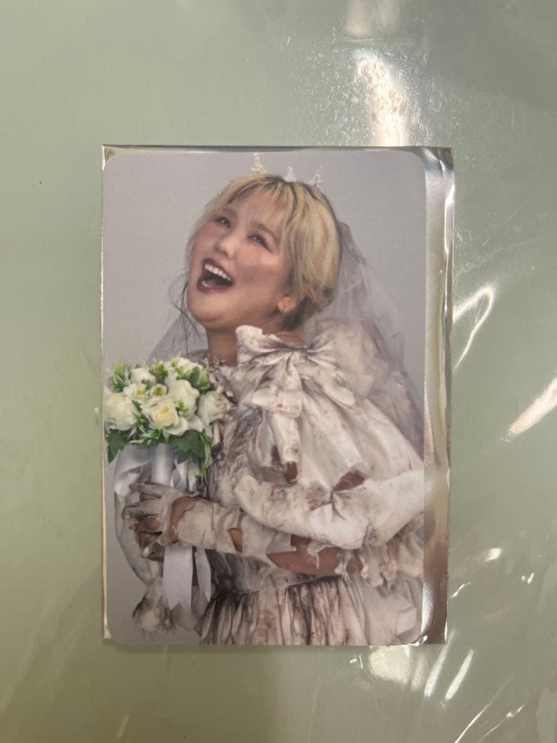 平成フラミンゴ 助け展 入場トレカ - メルカリ