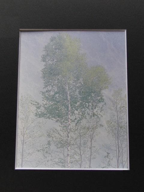 田中隆、【新緑】、希少な額装用画集画、新品高級額 額装付、状態良好