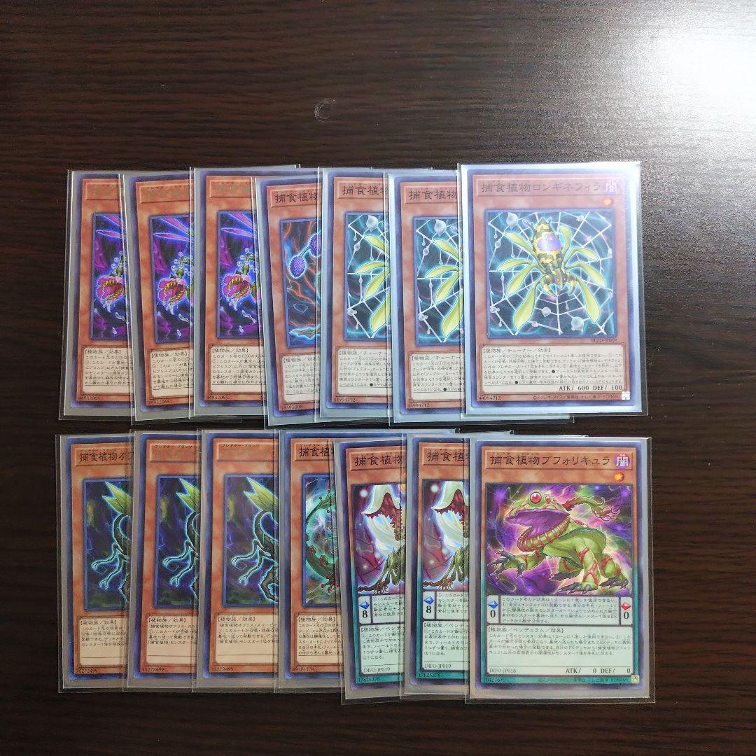 遊戯王【捕食植物】デッキ スリーブ付. - メルカリ