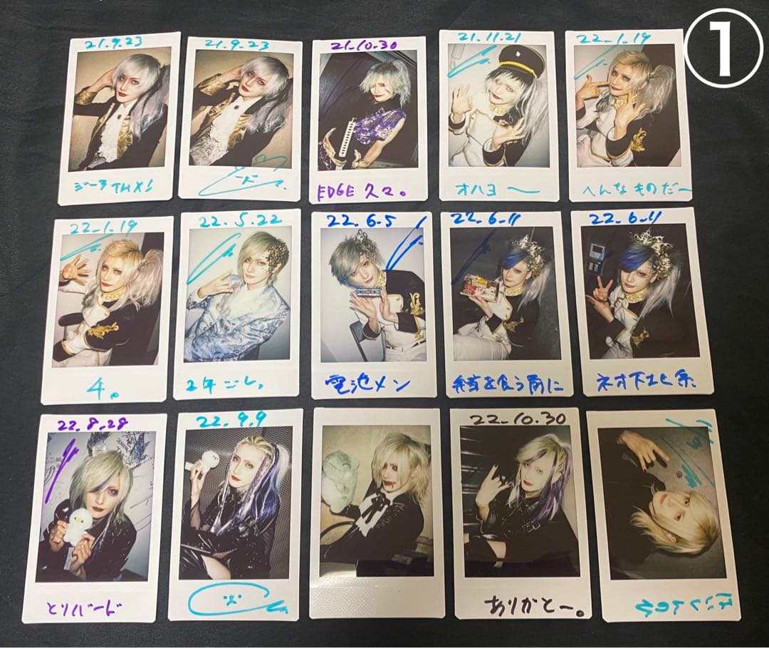 けいらん。様専用】vistlip 海 👢 チェキ 46枚