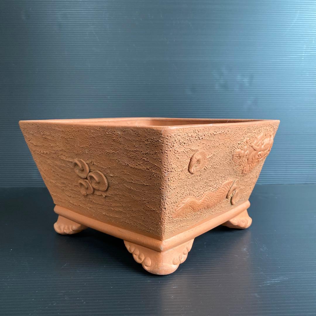 和泉 盆栽鉢 - メルカリ