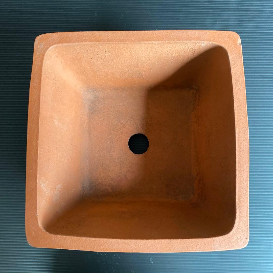 和泉 盆栽鉢 - メルカリ