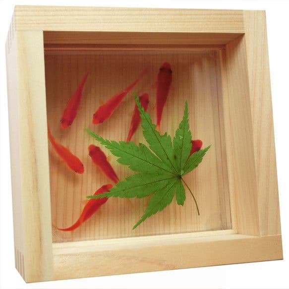 タイムセール 金魚アート 紅葉 もみじ 置物 プリザーブドフラワー グリーン