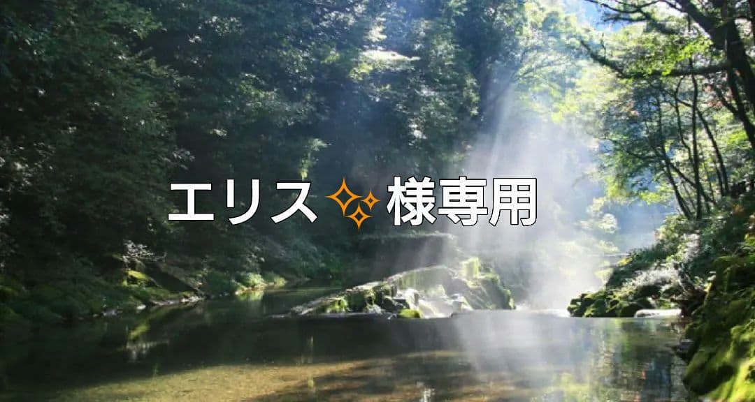 エリス✨✨特典付電磁波防止✨本物CMCペンダントUSA版　4本お値引き