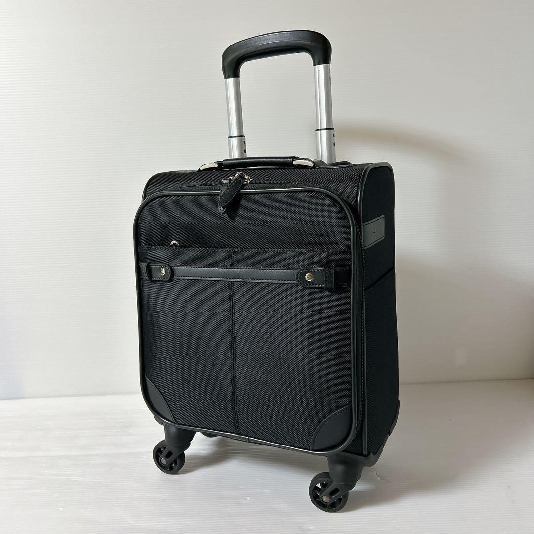 ace. ソリディオナ 17L ソフトキャリー 機内持ち込み可