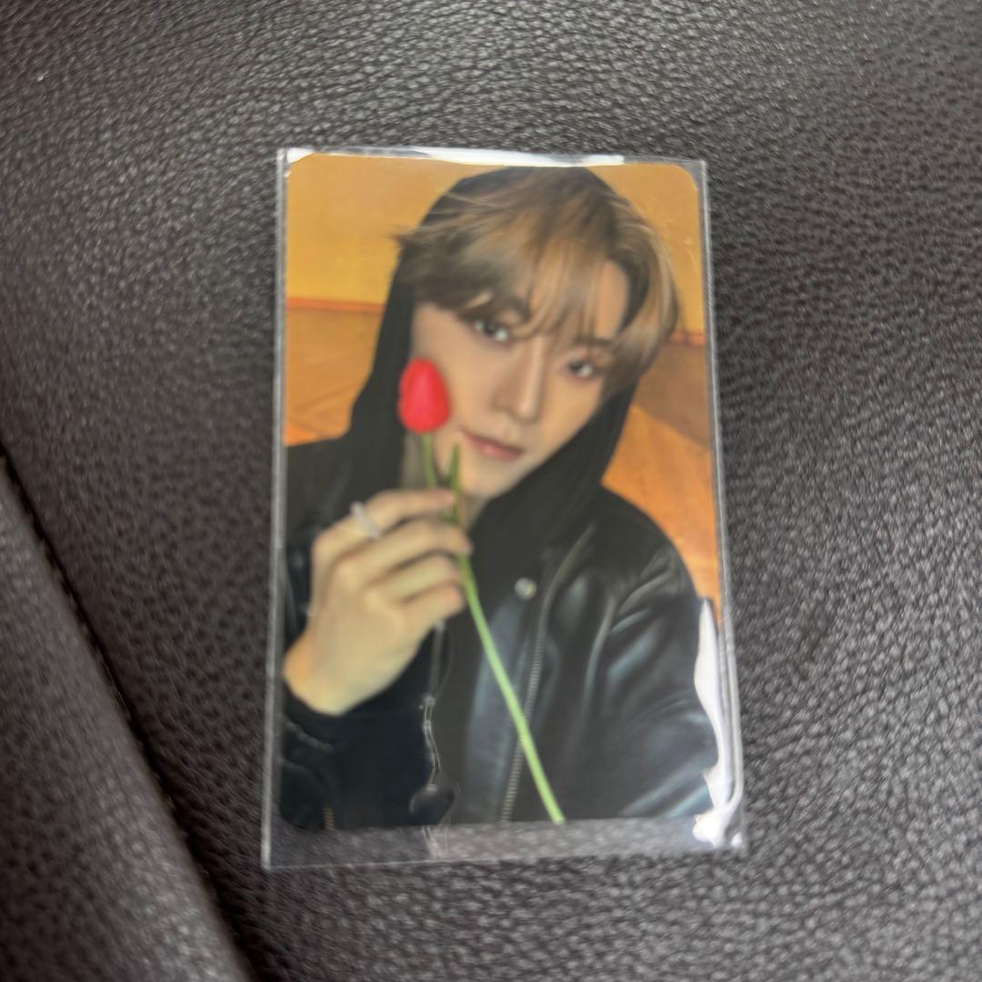 ALD1 サノク シンロン トレカ