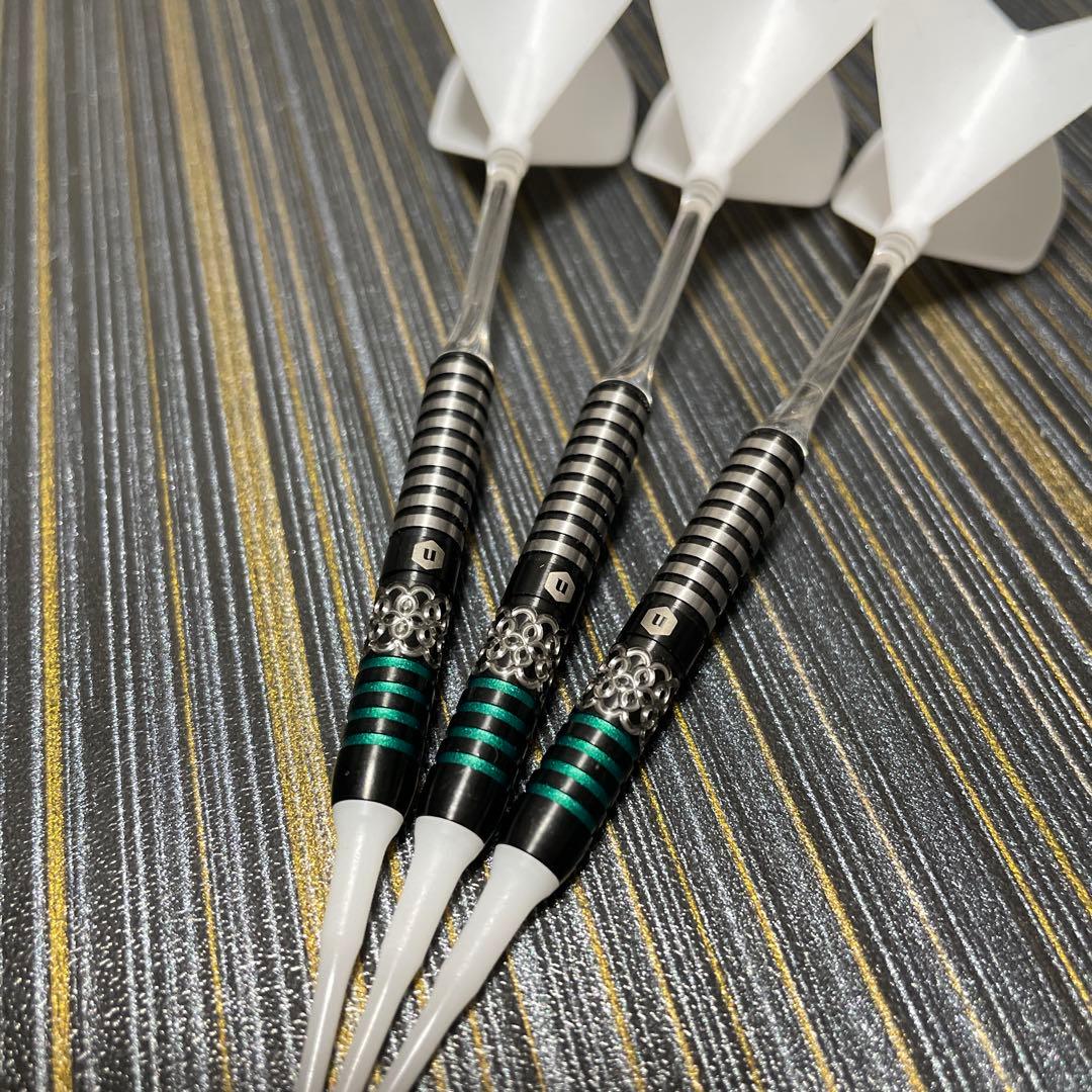 酒井 素 プロ バーサス US