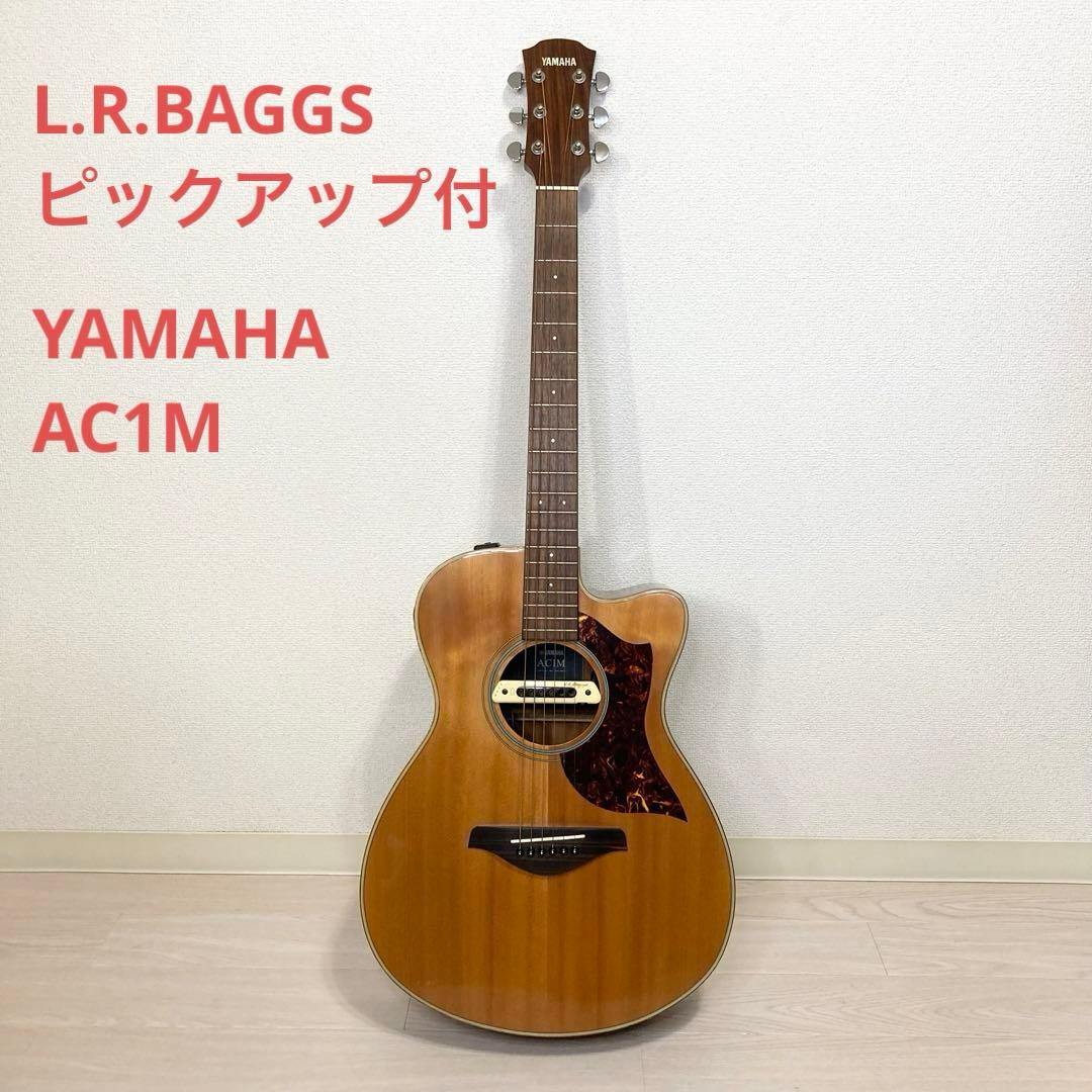 YAMAHA エレアコギター AC1M VN L.R.BAGGS ピックアップ付