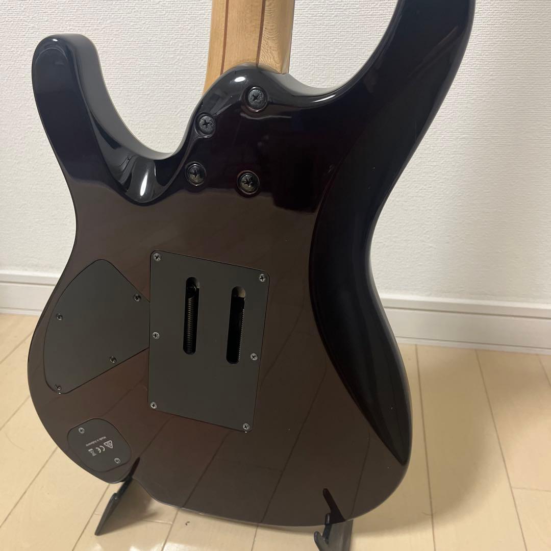 Ibanez プレミアム KIKO10P TGT