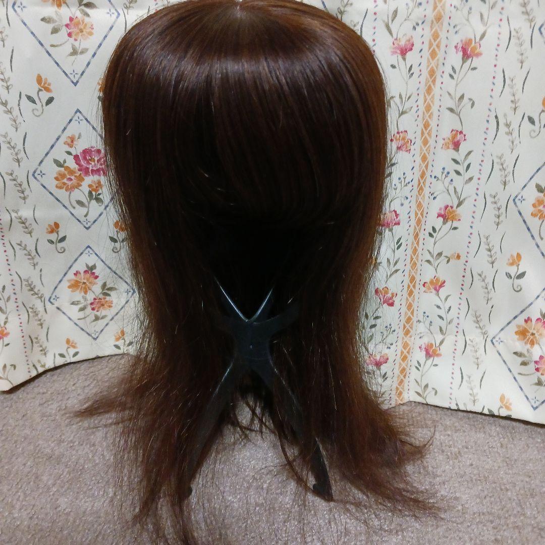 10日迄の限定価格★人毛(100%レミー使用) 総手植え医療用部分ウィッグ