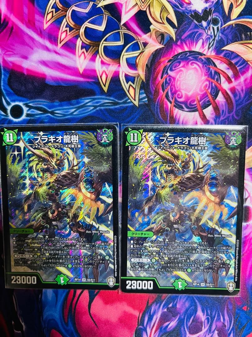 ブラギオ龍樹　2枚セット