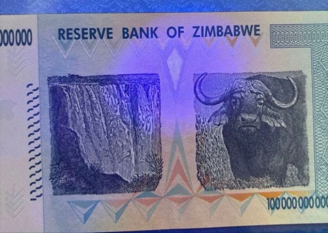 保証書付き】ジンバブエ 100兆ドル 1枚 - メルカリ