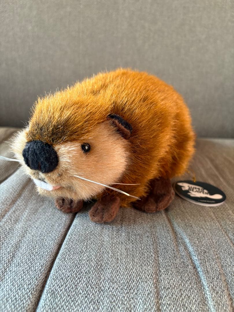 スーパービーバーちゃん SUPER BEAVER ぬいぐるみ Amazon.co.jp: SUPERBEAVER ぬいぐるみ 吉徳 スーパービーバーちゃん