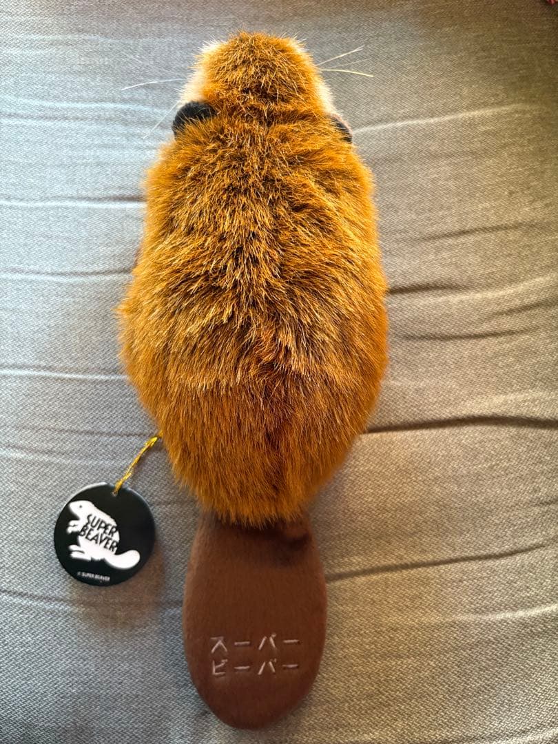 スーパービーバーちゃん SUPER BEAVER ぬいぐるみ - メルカリ