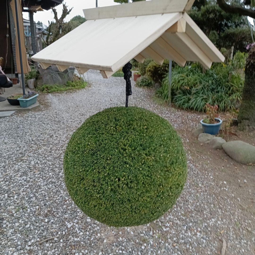 杉玉 直径約33cm 屋根付き - メルカリ