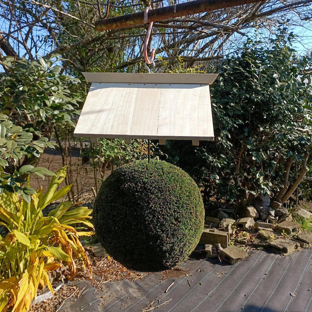杉玉 直径約33cm 屋根付き - メルカリ