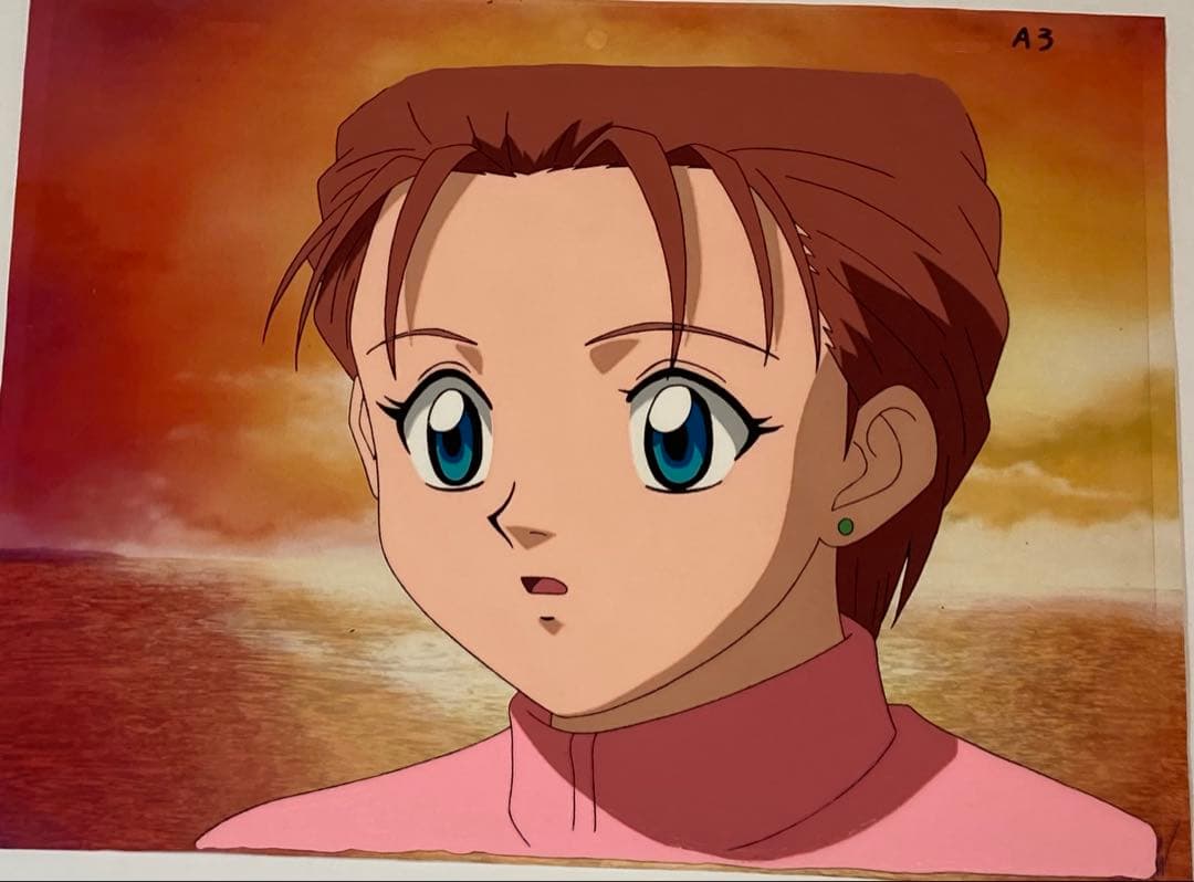 c８０　中判ハンターハンターセル画【ミト】動画.背景画付き