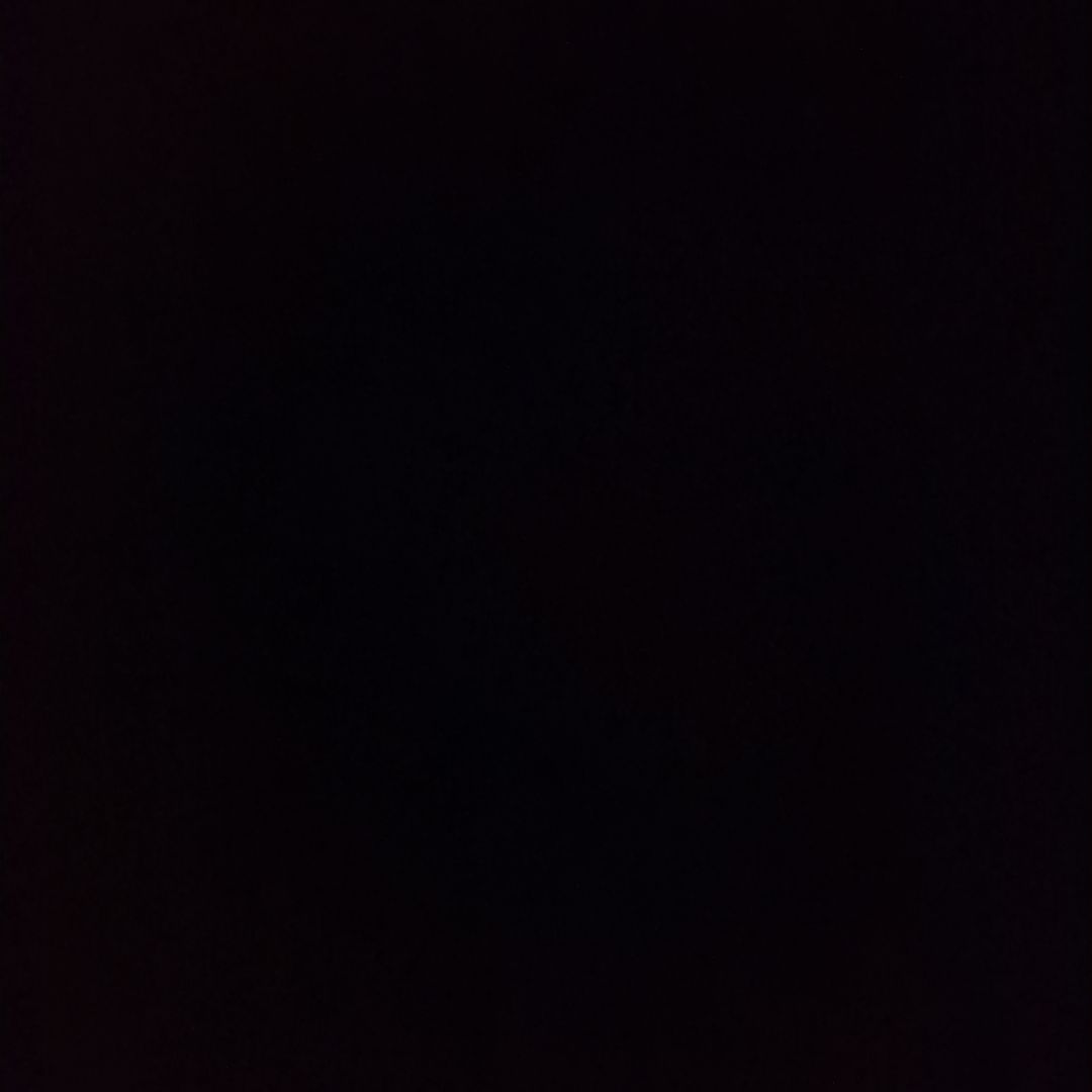 Reima Saitou　交通費