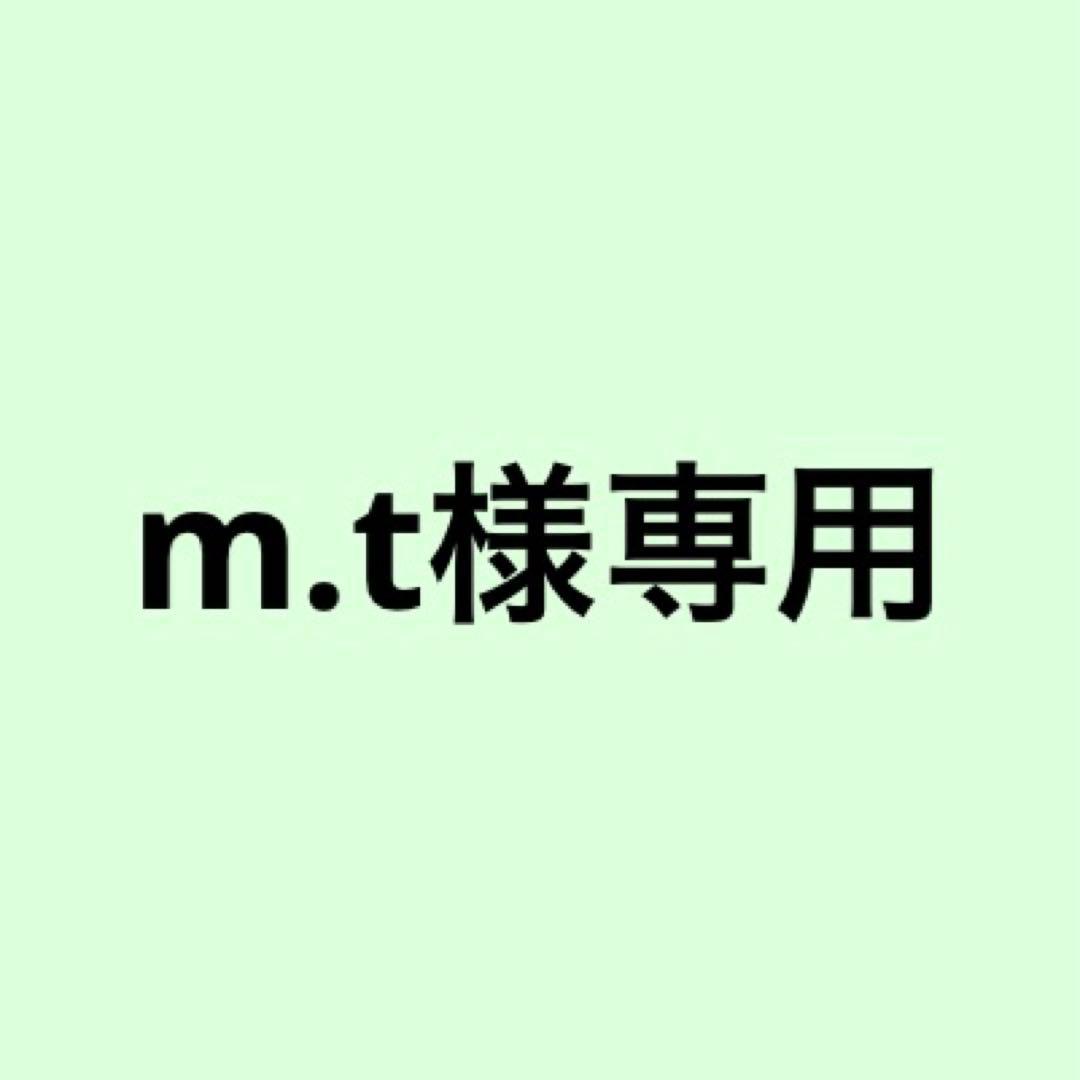 スタイリング剤 m.t
