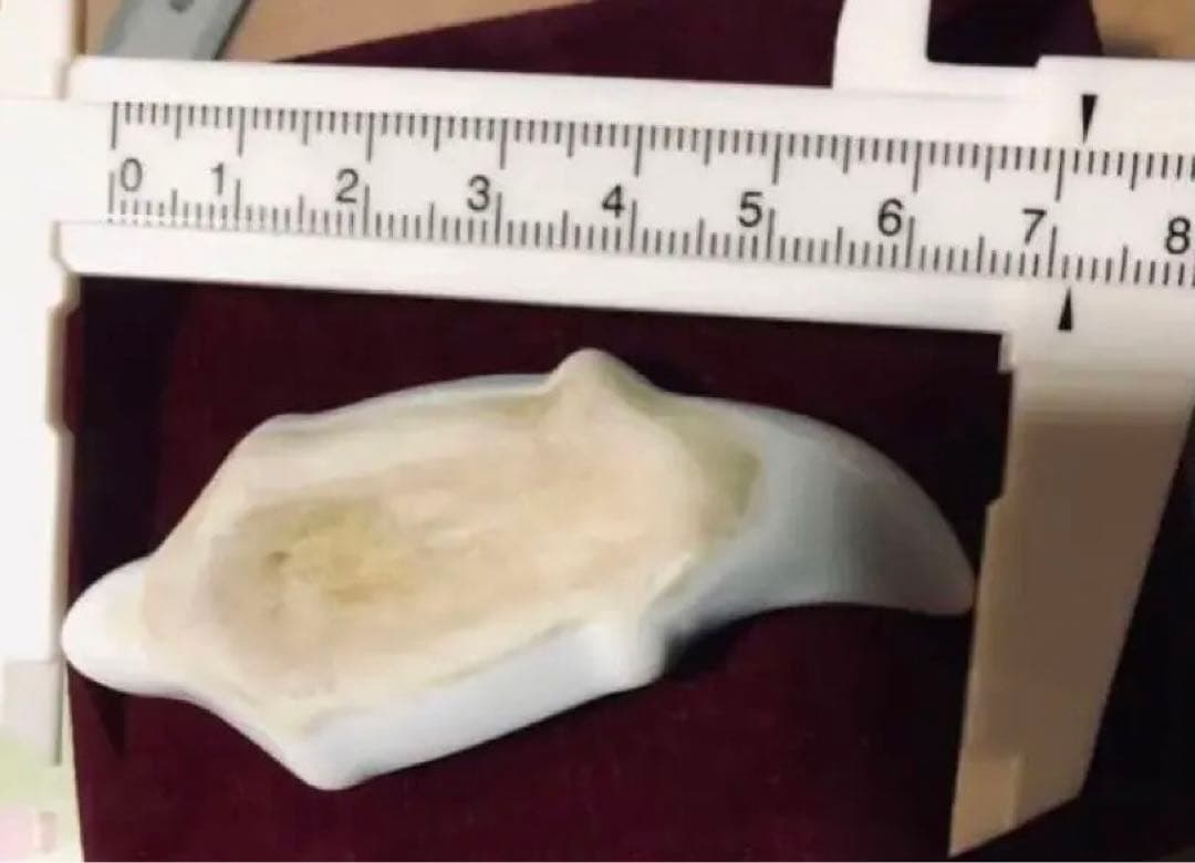 亀山焼 亀箸置き 白磁染付 幕末維新 司馬遼太郎 佐賀藩 鍋島藩 - メルカリ