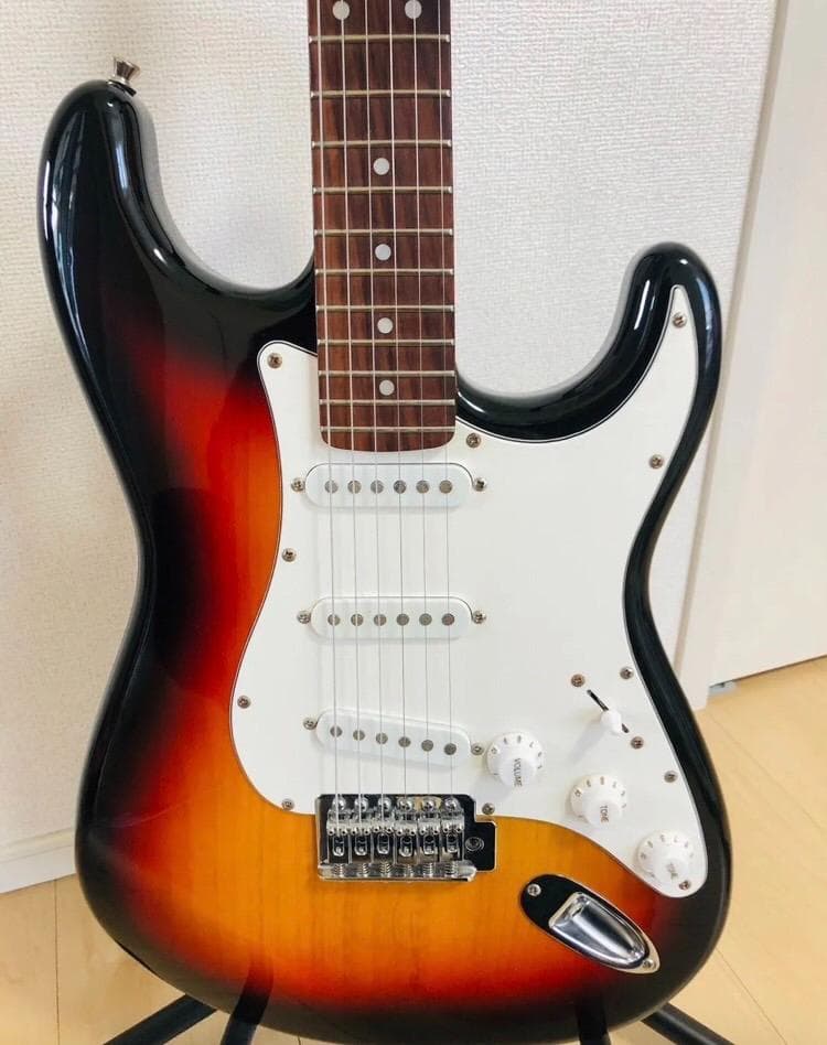 Bacchus BST-1R 3TS ストラトタイプ サンバースト ソフトケース