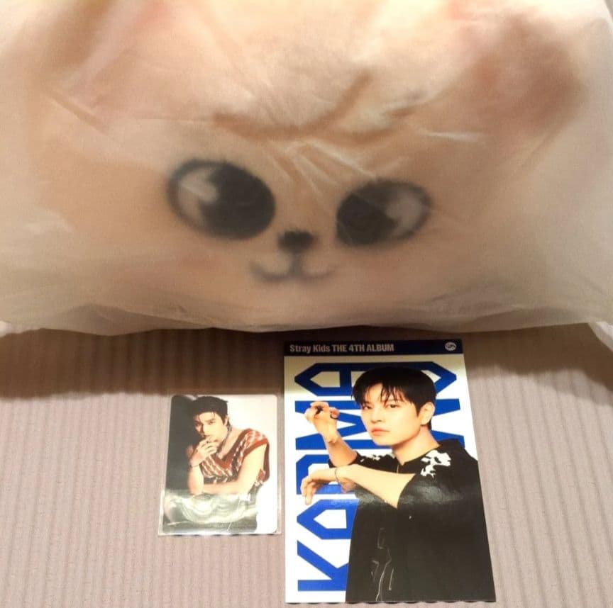 StrayKids スンミン celebrATE メンプロ パピーム ぬいぐるみ - メルカリ