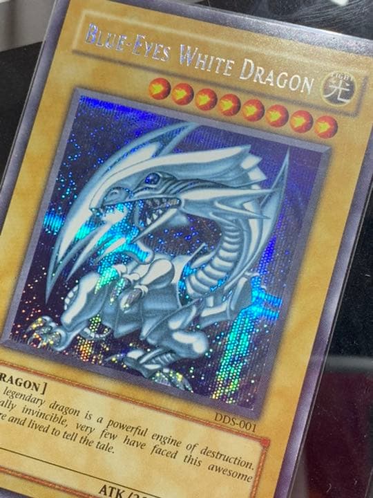 遊戯王　シクブル　青眼の白龍　シークレット　dds