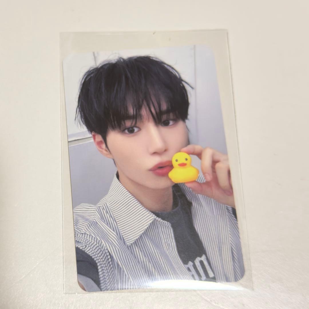 ALD1 MAKESTAR メイクスター メクス ジュンソ アヒル トレカ - メルカリ