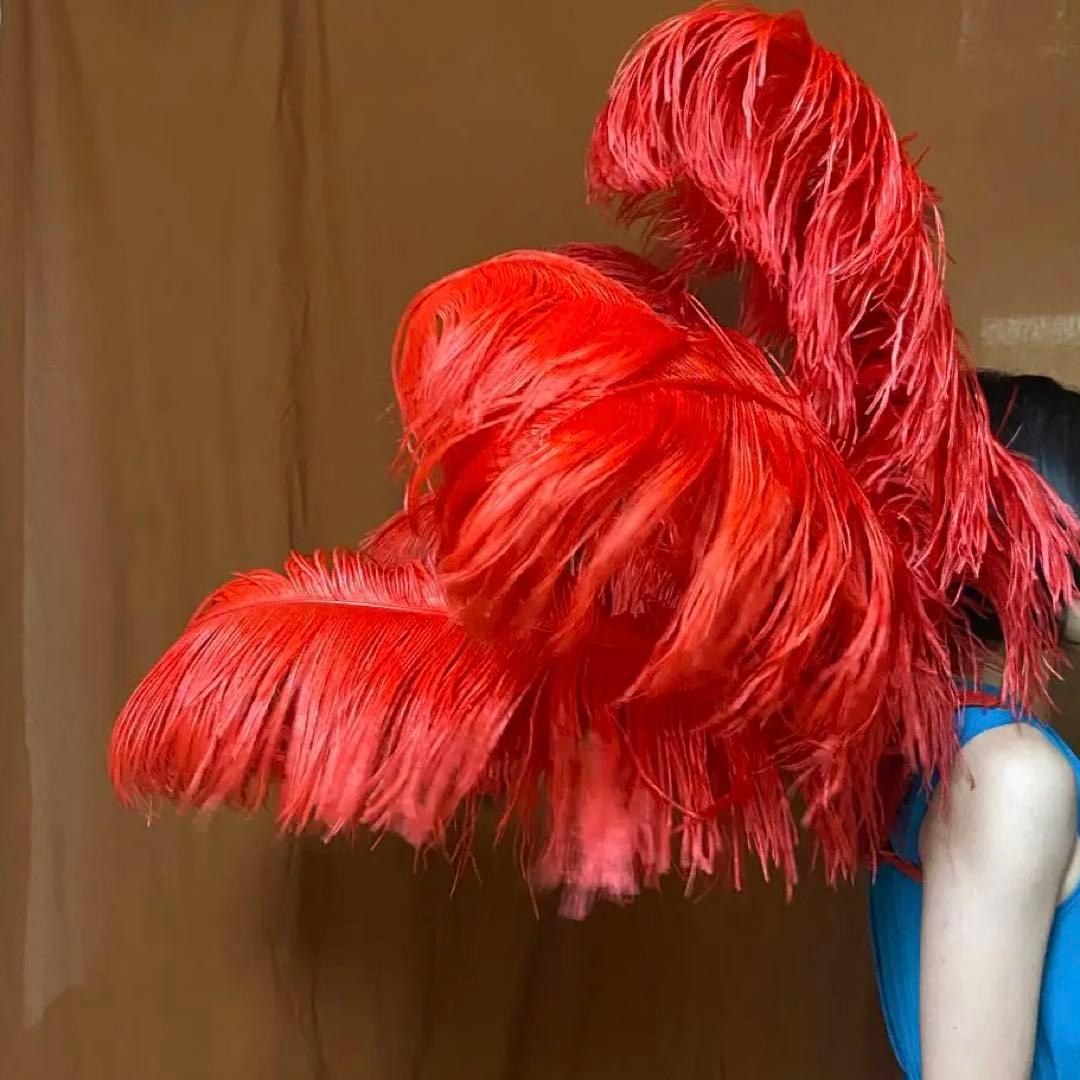 カーニバル衣装 レッド フェザー 純正ダチョウ羽