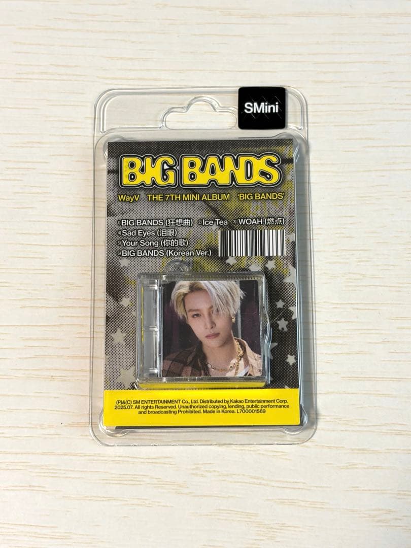 WayV威神V BIG BANDS ヤンヤン SMini mumoトレカ付き - メルカリ