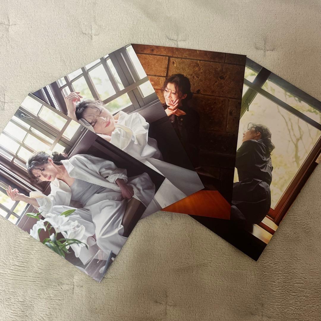 未使用】中森明菜☆2025 卓上カレンダー☆ファンクラブ限定 - メルカリ