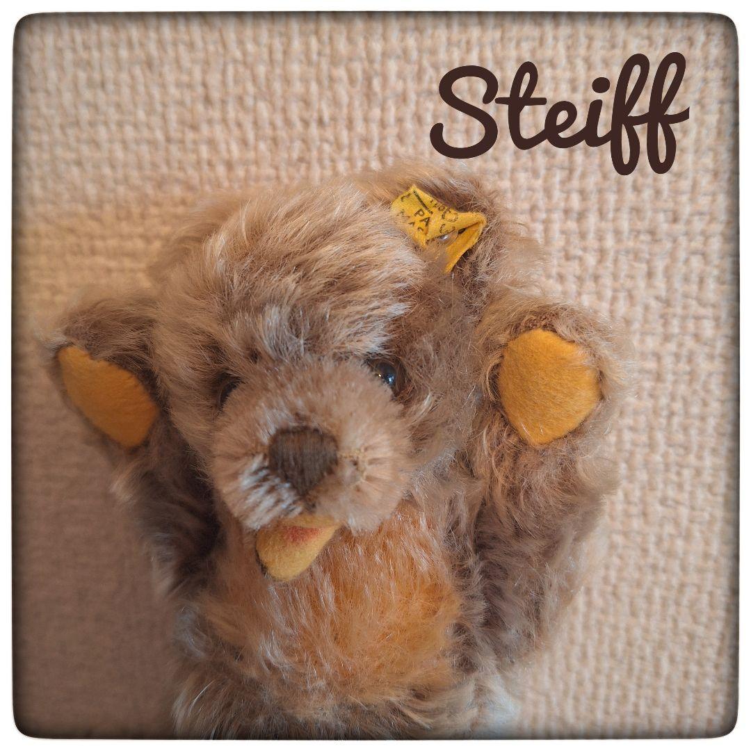 シュタイフ 【シュタイフ社製】テディベア ゾッティ テディベアー