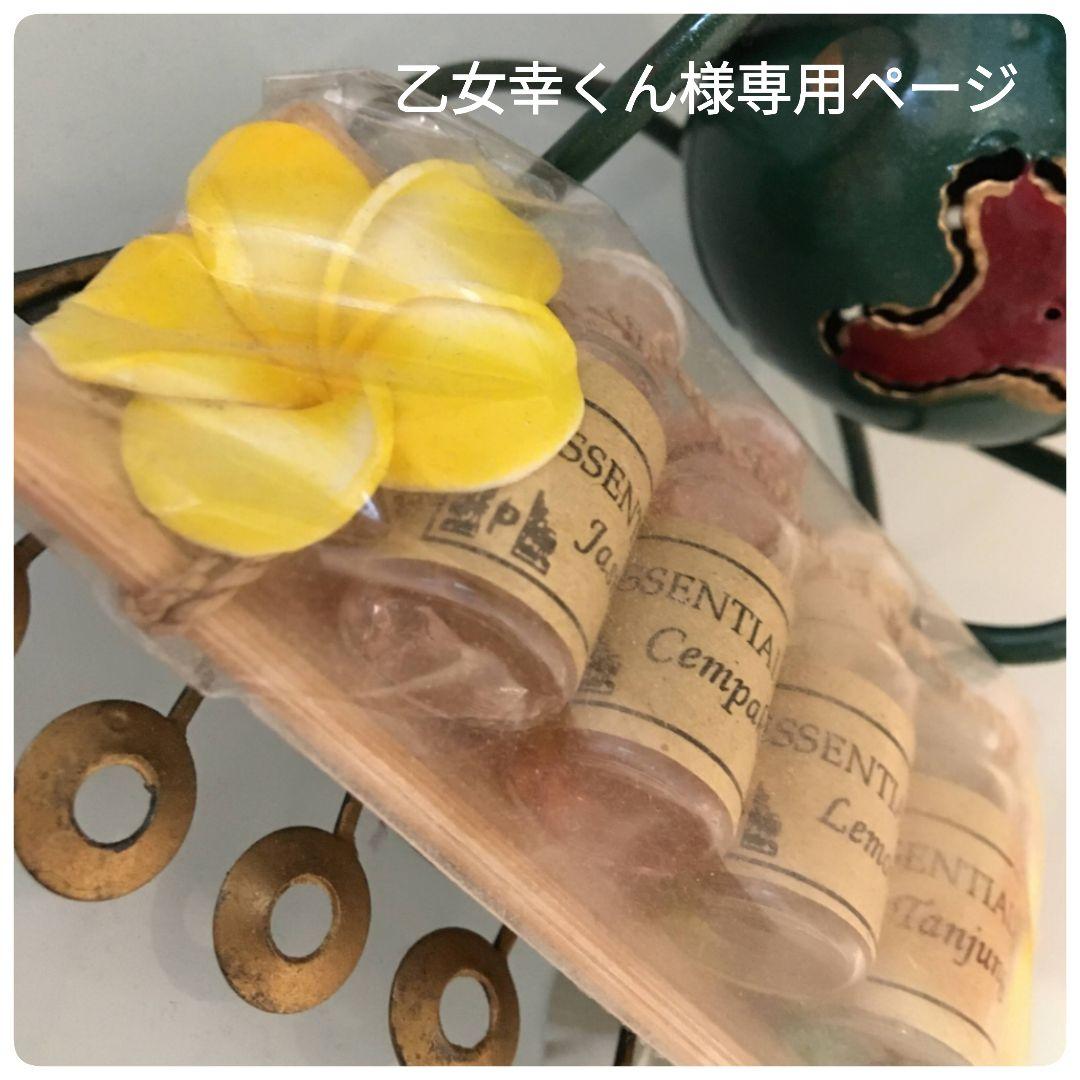 乙女幸くんページ