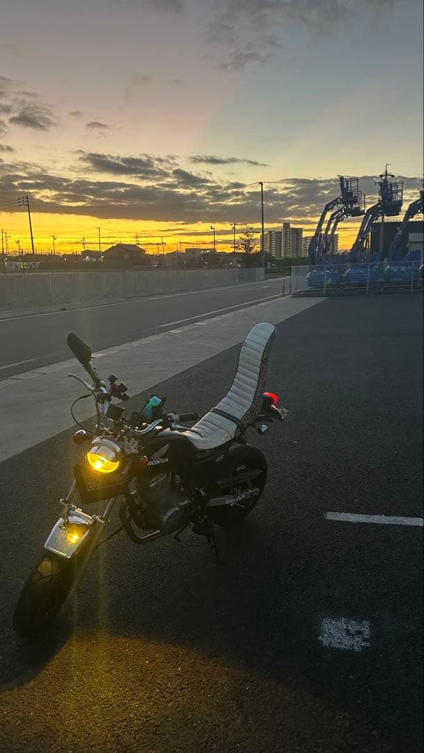 レア エイプ50三段シート(蛇柄)