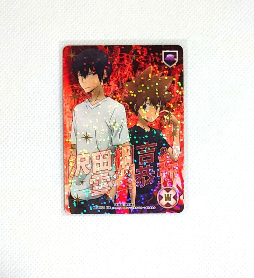 家庭教師ヒットマンREBORN！CCG SKR 死ぬ気レア 沢田綱吉 雲雀恭弥