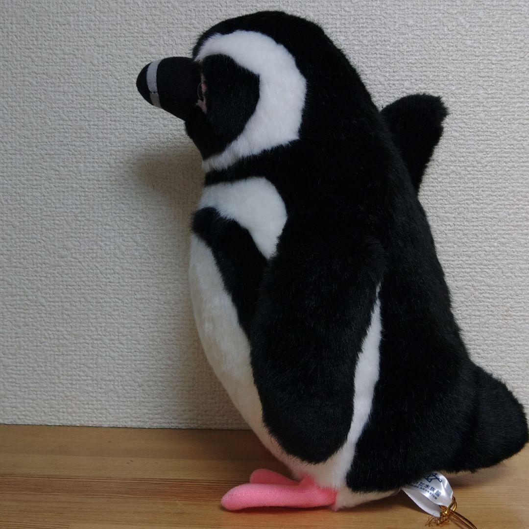 すみだ水族館 オリジナル 飼育員監修 マゼランペンギン ぬいぐるみ M