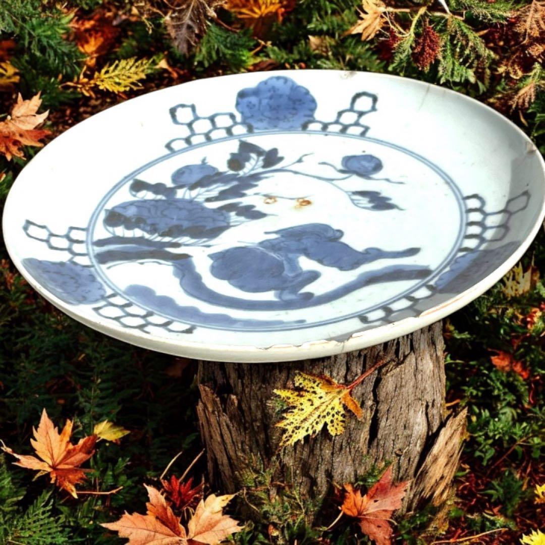 古伊万里 富貴長春 唐獅子牡丹図 染付 江戸期 緣起物 大皿 - メルカリ