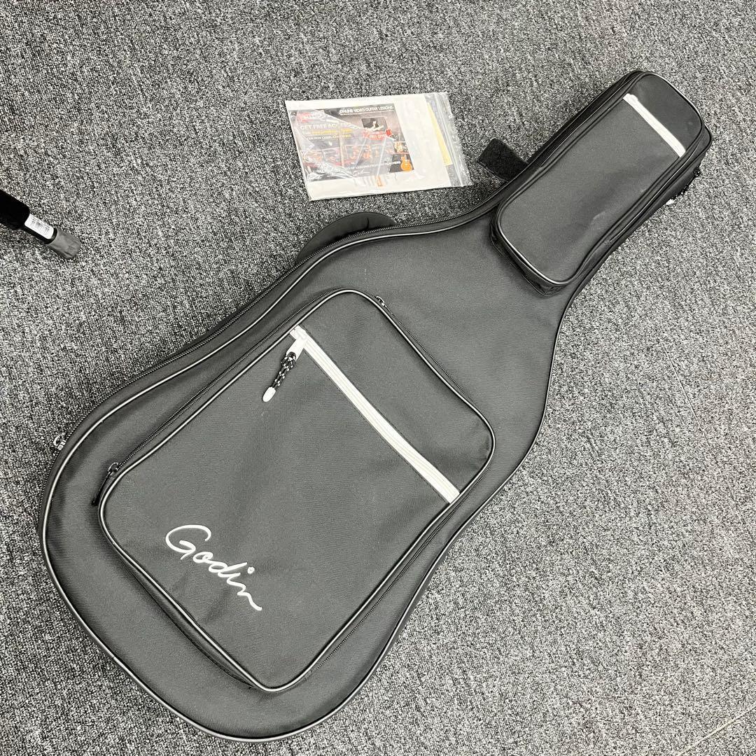 11134】Godin Multiac Steel Duet Ambiance - メルカリ