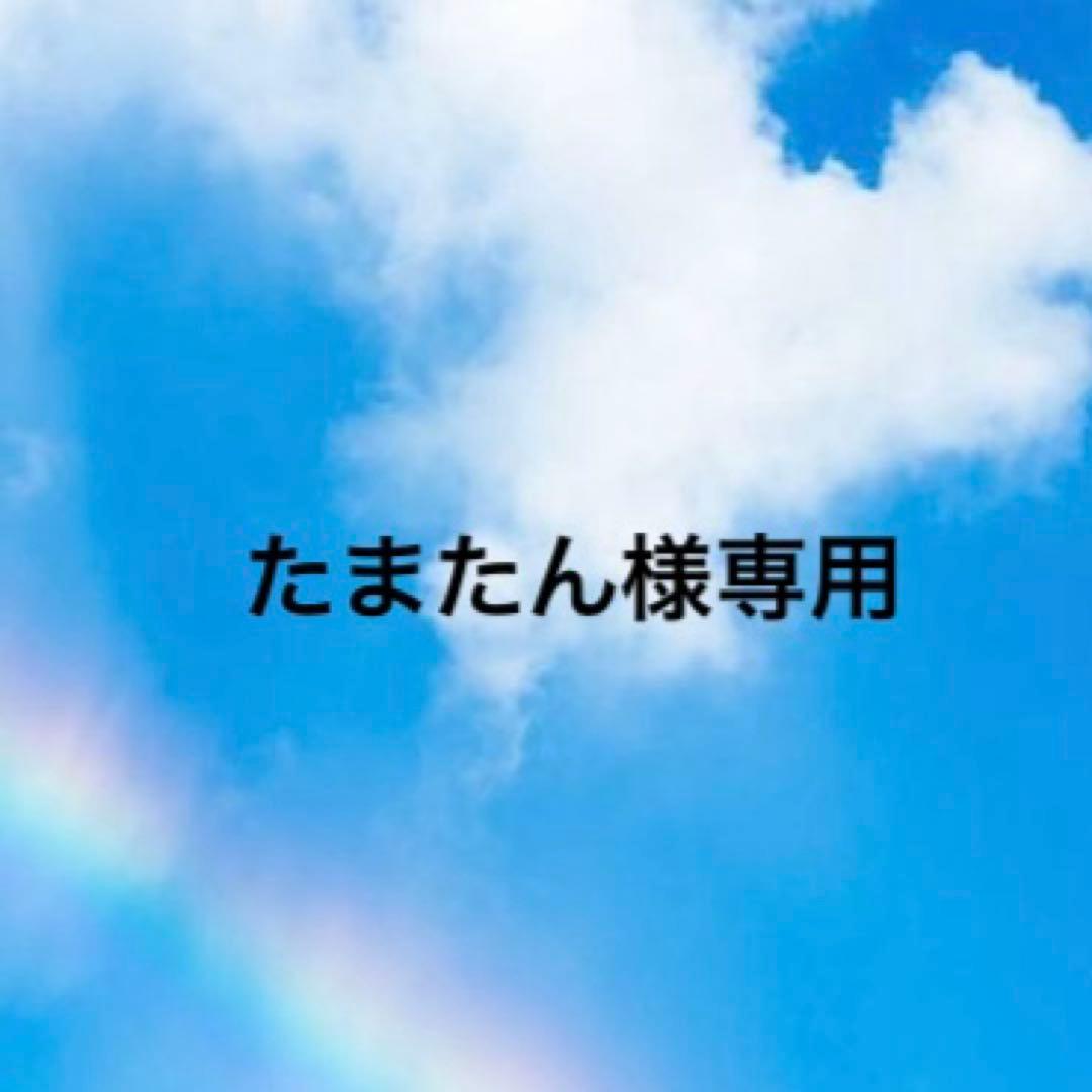 たまたん N) 98967 JR E3系2000番台 山形新幹線「つばさ・Treasureland TOHOKU