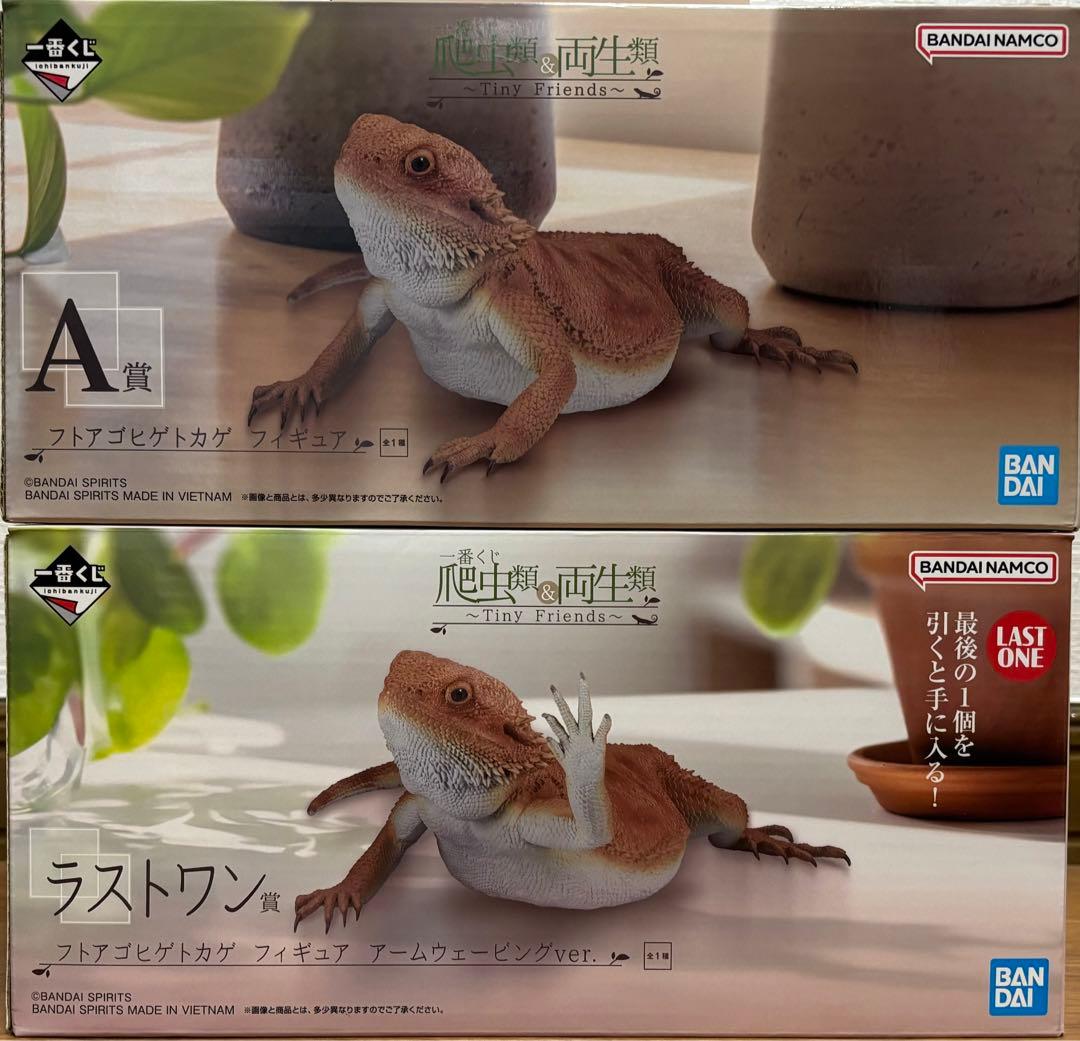 一番くじ 爬虫類&両生類 A賞+ラストワン賞 - メルカリ