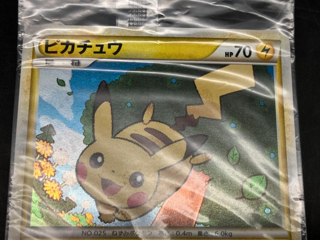 ポケモンカード ピカチュウ 019/L-P ポケモンだいすきクラブ プロモ 2